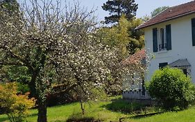 La Petite Sommière